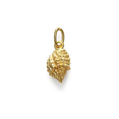ANNI LU Conch Shell Pendant - Gold