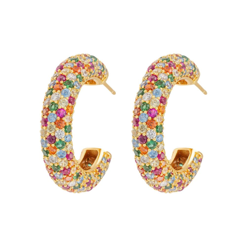 Emilia Large Chunky Hoops Multi